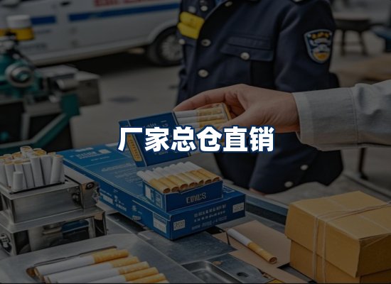 专业团队办公环境